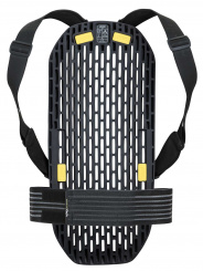 POC  VPD System Back